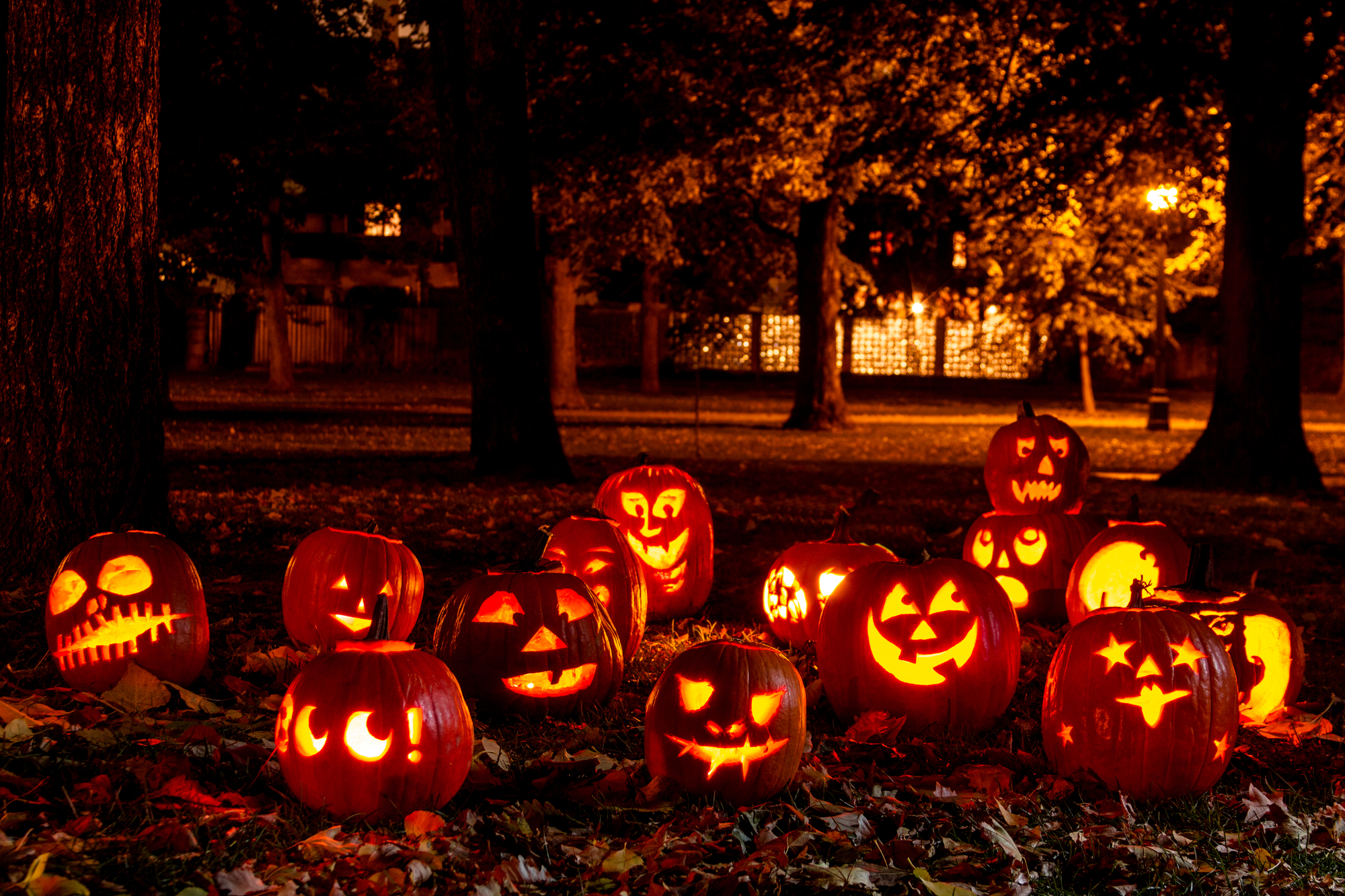 Lighted Halloween Pumpkins billede